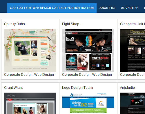 十二款Web设计师必备的网站参考画廊5