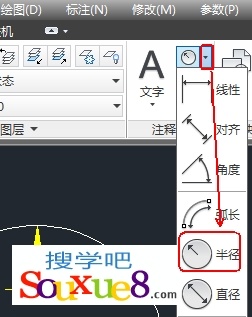 AutoCAD2013中文版半径标注2