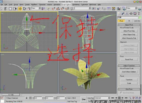 3Ds Max制作漂亮的鲜花模型10