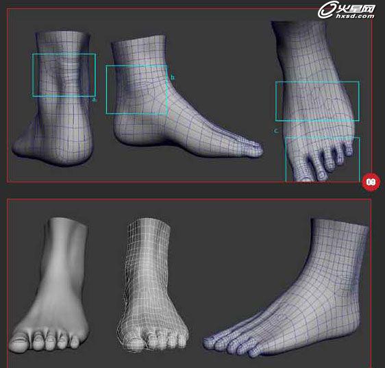 3DSMAX制作人体脚的建模4
