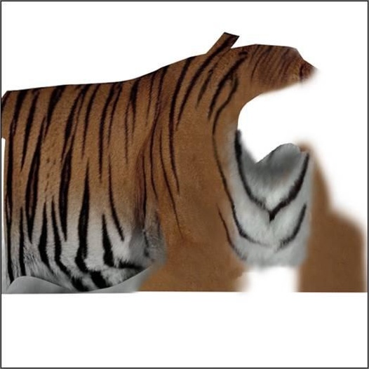 3dsmax绘制毛色亮丽视觉冲击感强的3D老虎12