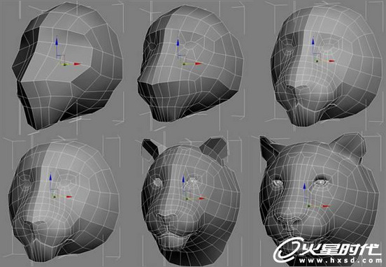 3dsmax绘制毛色亮丽视觉冲击感强的3D老虎4