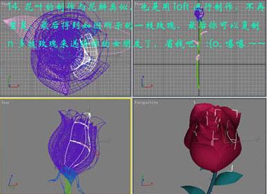 3Ds Max打造情人节的漂亮玫瑰15