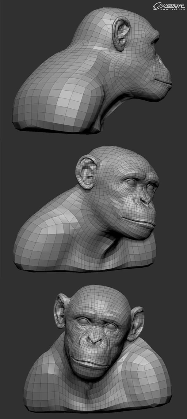 3D制作逼真黑猩猩教程3