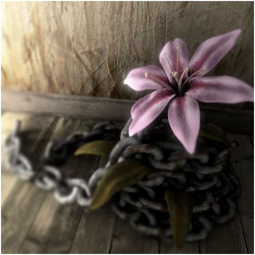 3DSMAX渲染被铁链束缚的花朵1