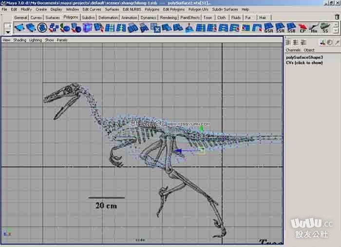 Maya制作真实的恐龙建模教程6