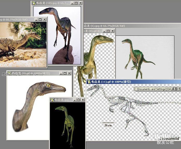 Maya制作真实的恐龙建模教程1
