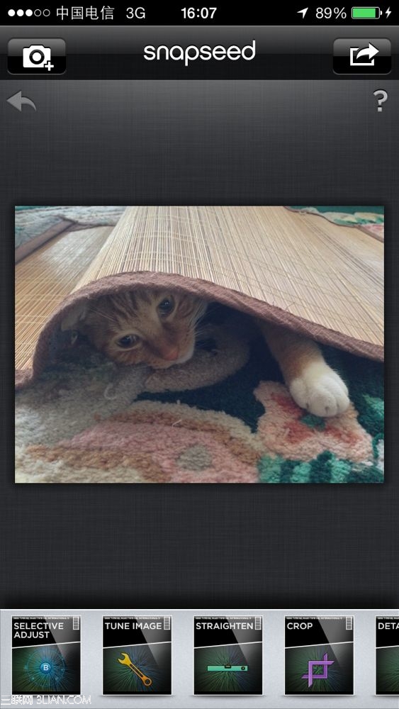 Snapseed技法:5步调出萌猫照片3