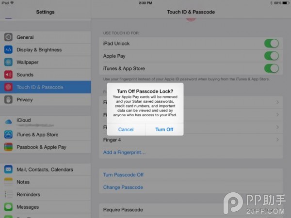 苹果不该为iPad Air2/mini3添加指纹识别功能？2