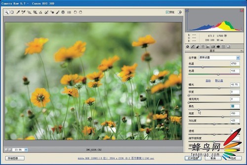 Camera Raw基本使用方法9