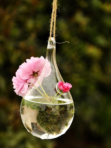 创意造型玻璃花瓶图片3