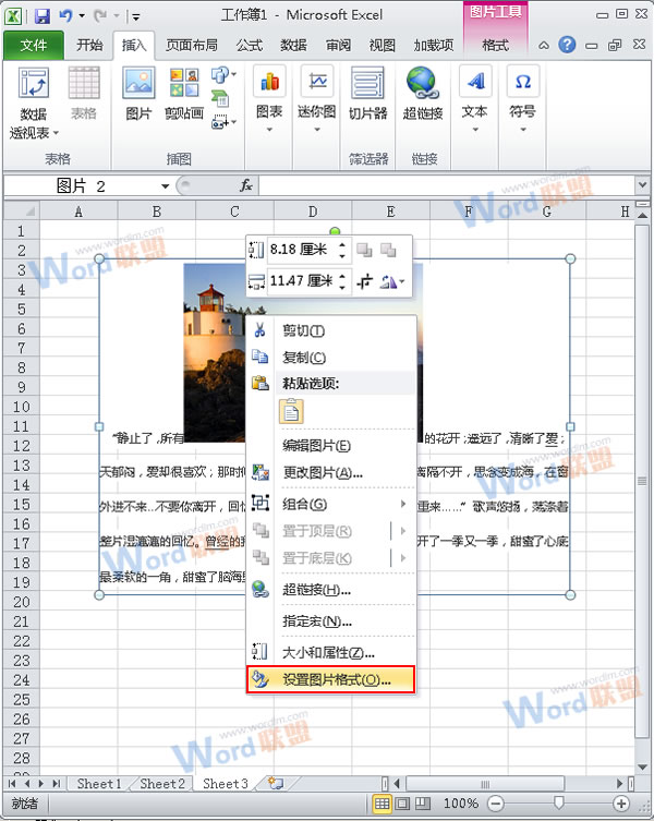 怎么把Word的内容以图片格式插入到Excel2010中？4