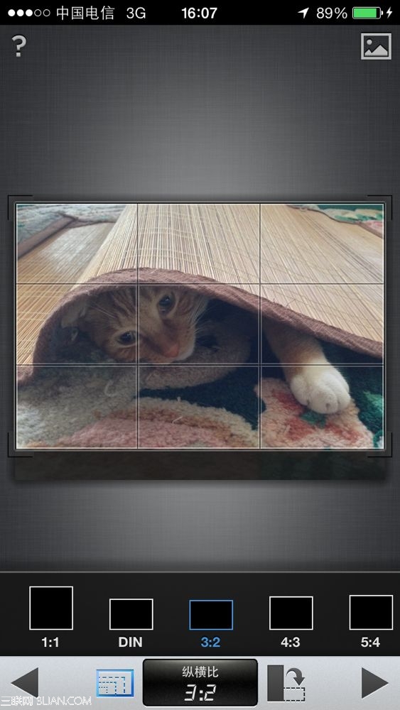 Snapseed技法:5步调出萌猫照片4