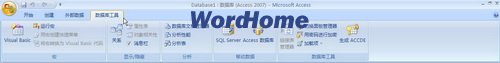 Access2007功能区详解4