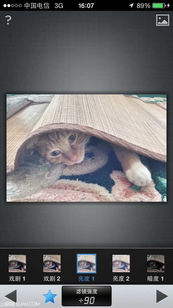 Snapseed技法:5步调出萌猫照片5