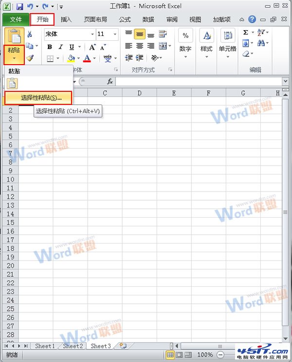 怎么把Word的内容以图片格式插入到Excel2010中?2