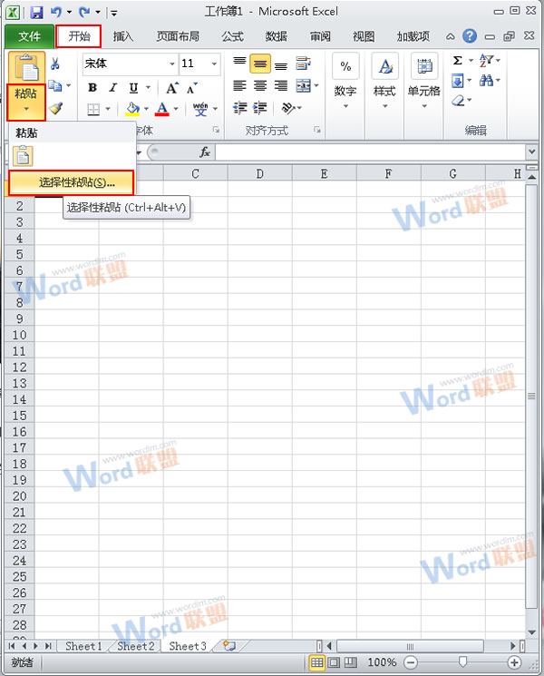 怎么把Word的内容以图片格式插入到Excel2010中？2