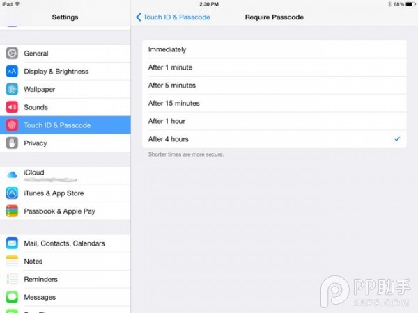 苹果不该为iPad Air2/mini3添加指纹识别功能？4