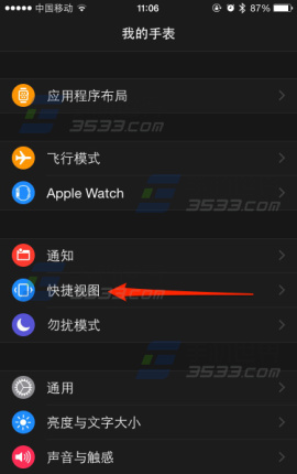 Apple Watch如何管理快捷视图4