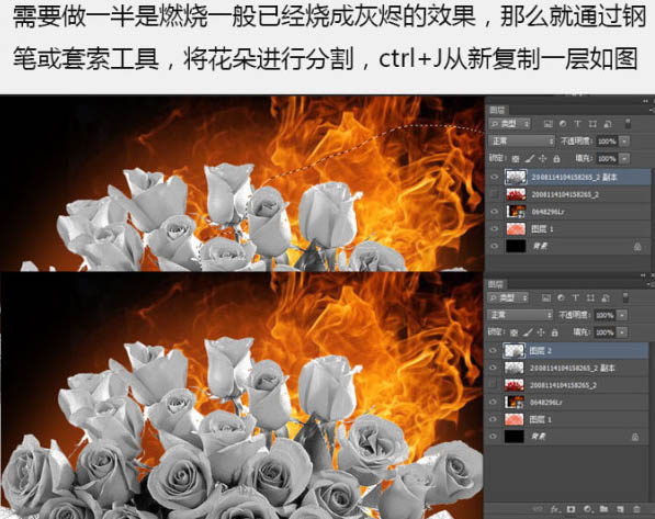 Photoshop制作火焰燃烧中的玫瑰效果8