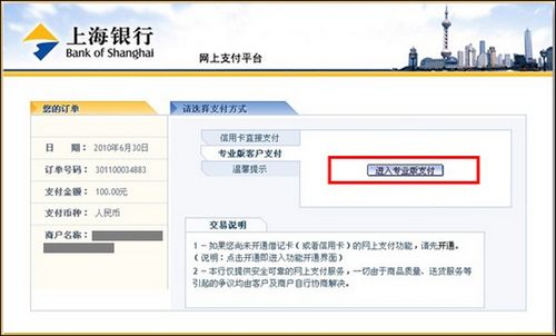 支付宝上海银行如何使用网上银行专业版支付3
