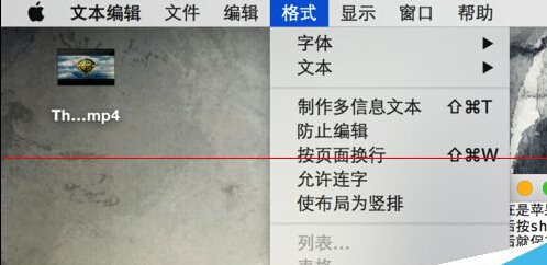 Mac系统下.txt格式的纯文本怎么保存？4