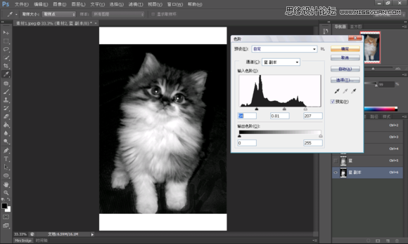 Photoshop合成创意的星空装饰的猫咪5