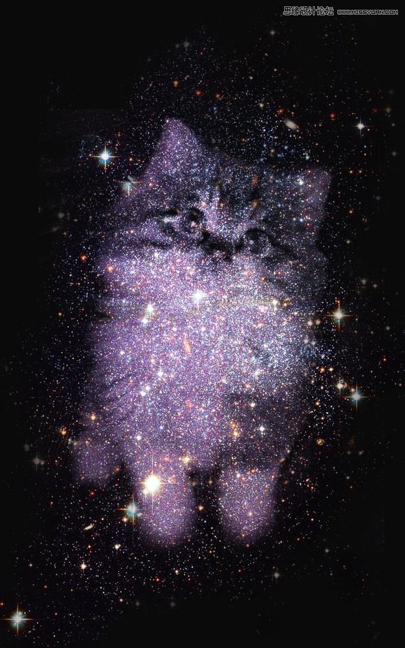 Photoshop合成创意的星空装饰的猫咪1