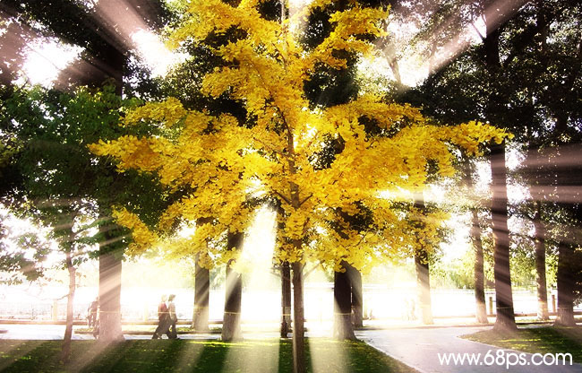 Photoshop模拟阳光穿透树林1