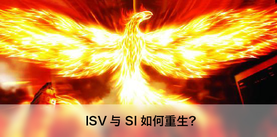 只有移动开发者才能拯救传统ISV、SI企业？2