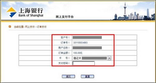 支付宝上海银行如何使用网上银行专业版支付5