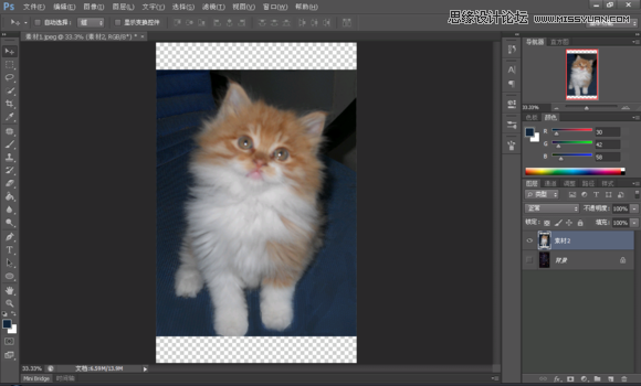 Photoshop合成创意的星空装饰的猫咪3