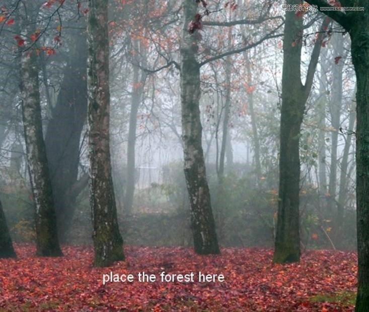 Photoshop合成梦幻唯美的森林仙子场景3