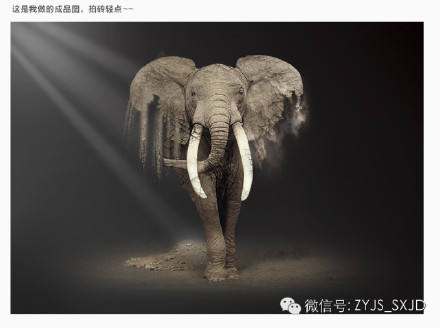 巧用photoshop打造大象沙漠化效果1