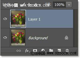 Photoshop把花朵照片转化成水彩绘画效果5