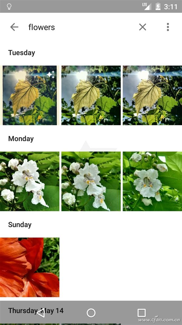 Android M照片应用啥样6