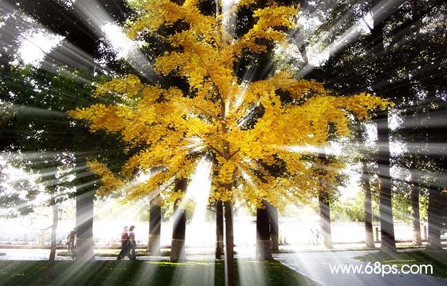 Photoshop模拟阳光穿透树林8