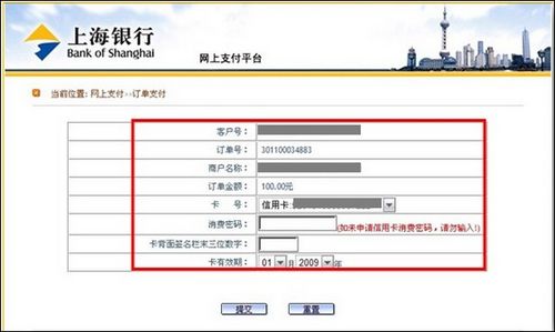 支付宝上海银行如何使用网上银行专业版支付6