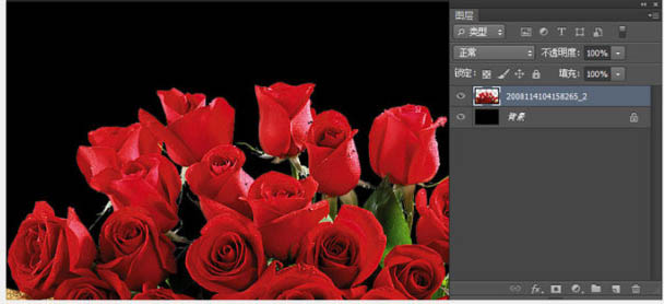Photoshop制作烈焰中的玫瑰效果4