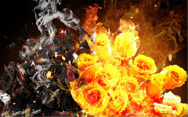 Photoshop制作火焰燃烧中的玫瑰效果1