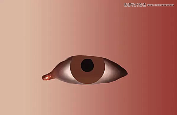 使用Photoshop鼠绘功能制作超逼真的人像眼睛效果15