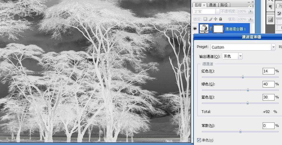 Photoshop通道混合器扣除复杂的树林3