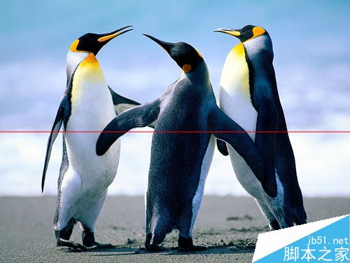 电脑怎么把将图片裁剪成不同的形状？1