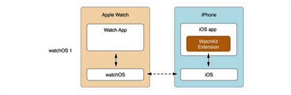 Apple Watch为什么不能直接运行程序?1