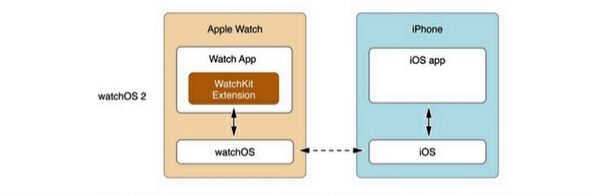 Apple Watch为什么不能直接运行程序?2