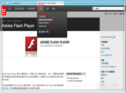 flash player怎么更新6