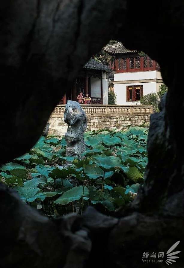 技术与美并重的摄影学习之路5