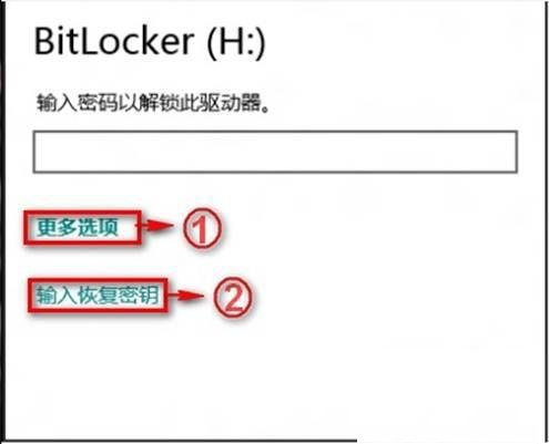 如何解决Windows8系统的BitLocker密码丢失问题2