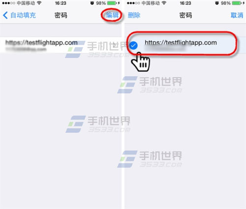 iPhone怎么查看和删除Safari保存的密码3