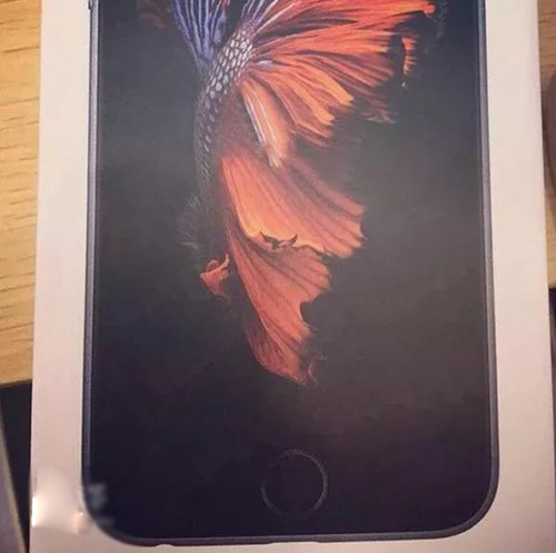 iPhone6S外观什么样?1